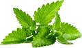 智能化升级改造的秋思手机号轰炸平台